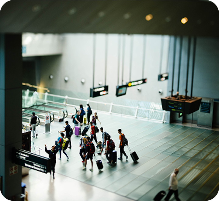 Navigate Customs with Confidence